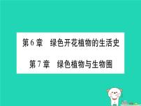 初中生物中考复习 中考生物总复习七上第3单元第6章绿色开花植物的生活史第7章绿色植物与生物圈习题课件