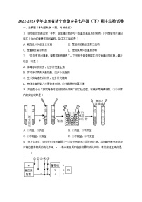 2022-2023学年山东省济宁市金乡县七年级（下）期中生物试卷（含解析）