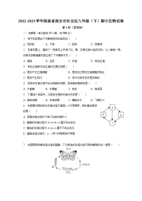 2022-2023学年陕西省西安市长安区八年级（下）期中生物试卷（含解析）