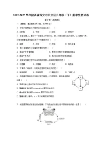 2022-2023学年陕西省西安市长安区八年级（下）期中生物试卷（含解析）