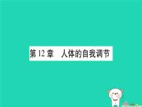 初中生物中考复习 中考生物总复习七下第4单元第12章人体的自我调节习题课件