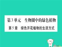 初中生物中考复习 中考生物总复习七上第3单元第5章绿色开花植物的生活方式习题课件