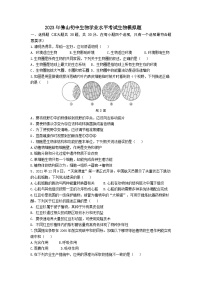 2023年广东省佛山市南海区大沥镇初级中学二模生物试题(含答案)