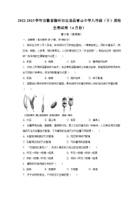 2022-2023学年安徽省滁州市定远县青山中学八年级（下）质检生物试卷（4月份）（含解析)