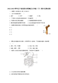 2022-2023学年辽宁省沈阳市浑南区七年级（下）期中生物试卷（含解析）