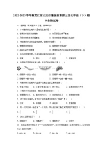 2022-2023学年黑龙江省大庆市肇源县东部五校七年级（下）期中生物试卷（含解析）
