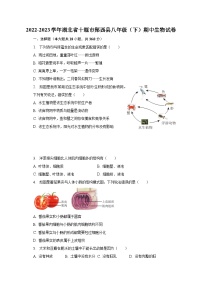 2022-2023学年湖北省十堰市郧西县八年级（下）期中生物试卷（含解析）