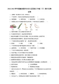 2022-2023学年福建省福州市台江区四校八年级（下）期中生物试卷（含解析）