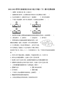 2022-2023学年江西省吉安市永丰县八年级（下）期中生物试卷（含解析）