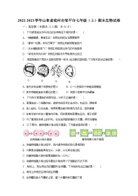 2022-2023学年山东省滨州市邹平市七年级（上）期末生物试卷（含解析）