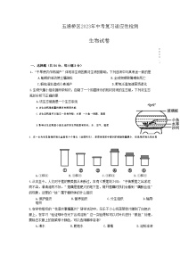 2023年四川省乐山市五通桥区初中学业水平适应性考试生物试题