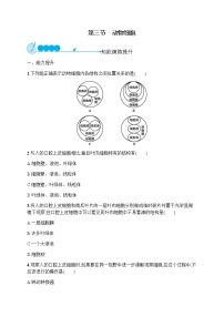 初中生物人教版 (新课标)七年级上册第三节 动物细胞课后作业题