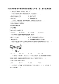 2022-2023学年广东省深圳市福田区七年级(下)期中生物试卷(含解析)