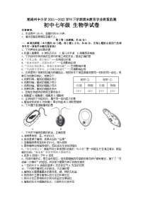 云南省楚雄州2021-2022学年七年级下学期期末教育学业质量监测生物试卷