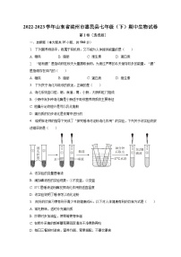 2022-2023学年山东省滨州市惠民县七年级（下）期中生物试卷（含解析）