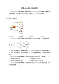 专题复习02 生物体的结构层次-【提分必备】2023年中考生物复习必练真题+模拟题（全国通用）