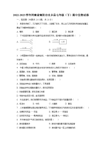 2022-2023学年河南省南阳市内乡县七年级（下）期中生物试卷（含解析）