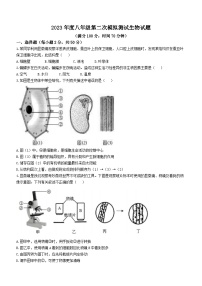 2023年山东省德州市夏津县中考二模生物试题(含答案)