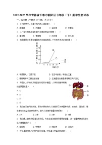 2022-2023学年吉林省长春市朝阳区七年级（下）期中生物试卷（含解析）