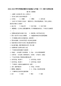 2022-2023学年河南省南阳市宛城区七年级（下）期中生物试卷（含解析）