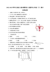 2022-2023学年江西省上饶市鄱阳县2校联考七年级（下）期中生物试卷(含解析）