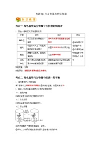 专题08 光合作用和呼吸作用-2022年中考生物一轮复习抓重点考典型（人教版）