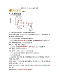 专题19 生物的生殖和发育-2022年中考生物一轮复习抓重点考典型（人教版）