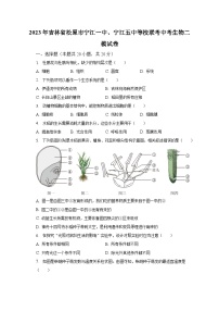 2023年吉林省松原市宁江一中、宁江五中等校联考中考生物二模试卷（含解析）