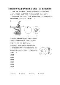 2022-2023学年山东省菏泽市单县七年级(上)期末生物试卷(含解析)