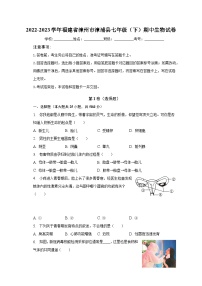 2022-2023学年福建省漳州市漳浦县七年级（下）期中生物试卷（含解析）