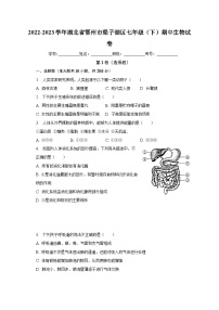 2022-2023学年湖北省鄂州市梁子湖区七年级（下）期中生物试卷（含解析）