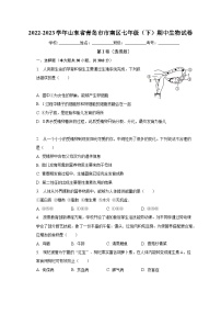 2022-2023学年山东省青岛市市南区七年级（下）期中生物试卷（含解析）