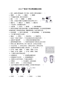 2013广东省中考生物真题及答案