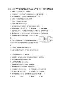 2022-2023学年山东省临沂市兰山区七年级（下）期中生物试卷（含解析）