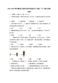 2022-2023学年黑龙江省佳木斯市抚远市八年级（下）期中生物试卷（含解析）