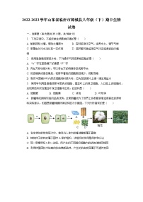 山东省临沂市郯城县2022-2023学年八年级下学期期中生物试卷+