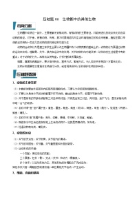 压轴题06 初中生物圈中的其他初中生物——2023年会考初中生物压轴题特训学案