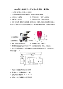 2023年山东省济宁市任城区中考生物二模试卷（含解析）