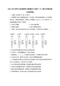 2022-2023学年山东省泰安市肥城市七年级（下）期中生物试卷（五四学制）（含解析）