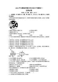 2023年安徽省淮南市凤台县中考模拟二生物试题(无答案)