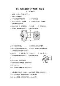 2023年湖北省襄阳市中考生物一模试卷（含解析）