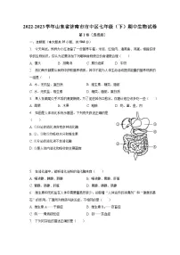 2022-2023学年山东省济南市市中区七年级(下)期中生物试卷(含解析)