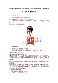 第三章 人体的呼吸——【期末复习】七年级下册生物章节知识点梳理（人教版七下）