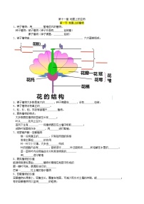 第十一章 地面上的生物——【期末复习】七年级生物章节知识点梳理（苏科版七下）