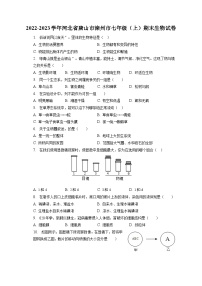 2022-2023学年河北省唐山市滦州市七年级（上）期末生物试卷（含解析）