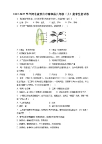 2022-2023学年河北省邢台市南和县八年级（上）期末生物试卷（含解析）