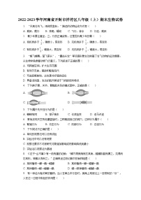 2022-2023学年河南省开封市祥符区八年级（上）期末生物试卷（含解析）