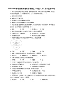 2022-2023学年河南省漯河市郾城区八年级（上）期末生物试卷（含解析）