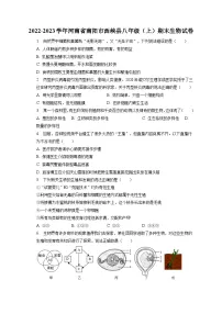 2022-2023学年河南省南阳市西峡县八年级(上)期末生物试卷(含解析)