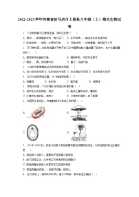 2022-2023学年河南省驻马店市上蔡县八年级（上）期末生物试卷（含解析）